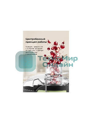 Соковыжималка GALAXY LINE GL 0815 зеленый, центробежная, 850 Вт, 550 мл, механическое