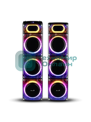 Колонка ELTRONIC 10