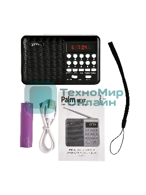 Радиоприемник PERFEO (PF_D0566) PALM, черный