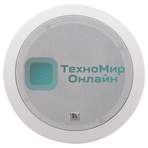 Пара двухполосных громкоговорителей, предназначенных для установки на потолке, с трансформатором; 6,5