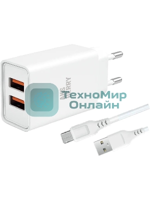 Зарядное устройство Aksberry СЗУ T38 2 USB 2.4A + MicroUSB белый