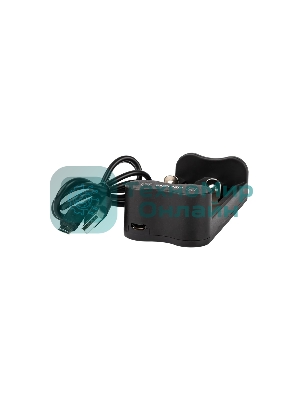 Устройство зарядное L-71USB 2х500мА Li-ion (16340/17650/18650/26650/20700 и др.) 4.2В DC USB-MicroUSB в компл. ФАZА 5032385