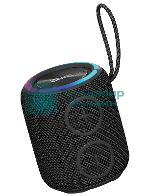 Портативная колонка AIWA PAS-H100 черный