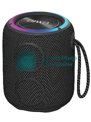 Портативная колонка AIWA PAS-H100 черный