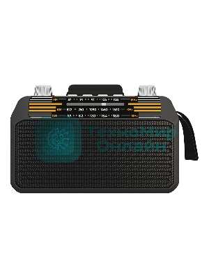 Радиоприемник SOUNDMAX SM-RD2114UB черный