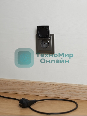 Розетка 1-местная IEK BRITE РСбш10-3-44-БрС с заземлением, с защитными шторками и крышкой, 16А, IP44, сталь