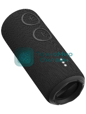 Портативная колонка AIWA PAS-H200 черный