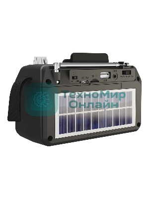 Радиоприемник SOUNDMAX SM-RD2114UB черный