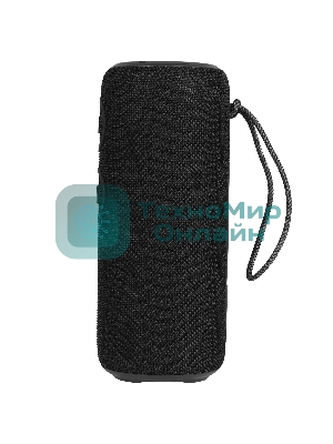 Колонка беспроводная AIWA PAS-H300 черный