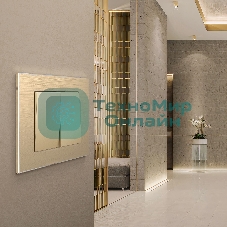 Рамка WERKEL на 1 пост (шампань алюминий) W0011711