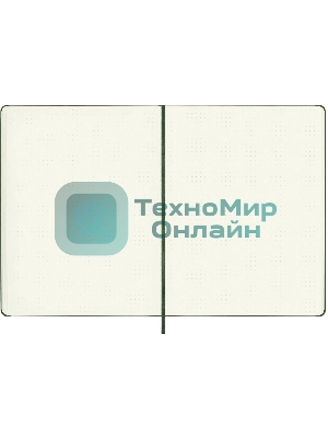 Блокнот Moleskine CLASSIC QP093K15 XLarge 190х250 мм 192 стр. пунктир твердая обложка зеленый