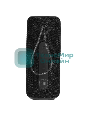 Колонка беспроводная AIWA PAS-H300 черный