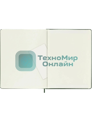 Блокнот Moleskine CLASSIC QP093K15 XLarge 190х250 мм 192 стр. пунктир твердая обложка зеленый
