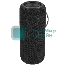 Колонка беспроводная AIWA PAS-H300 черный