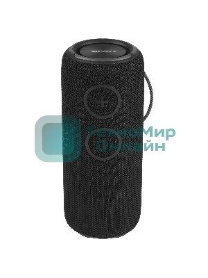 Колонка беспроводная AIWA PAS-H300 черный