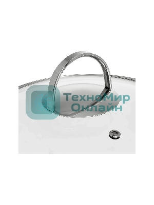 Кастрюля WEBBER BE-349/2 4,8 л, 22 см, из нержавеющей стали со стеклянной крышкой