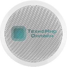 Громкоговоритель Tantos TSo-PW6a потолочный 6Вт белый