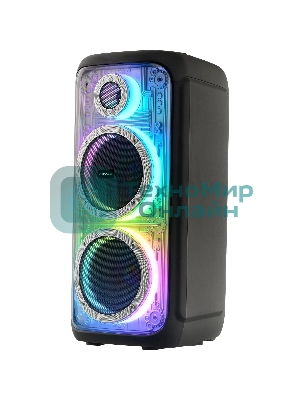 Портативная колонка AIWA CAS-810 (25336)