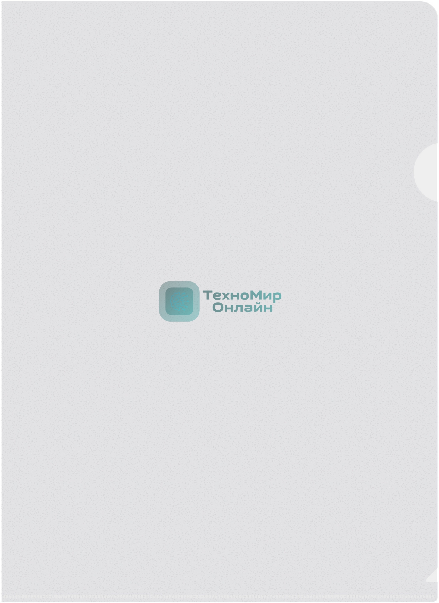 Папка-уголок Silwerhof Eco тисненый A4 пластик 0.12мм прозрачный