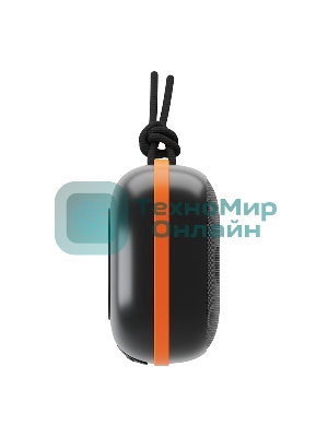 Портативная колонка Soundmax SM-PS5009B черный