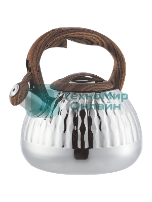Чайник для плиты со свистком Zeidan Z-4519