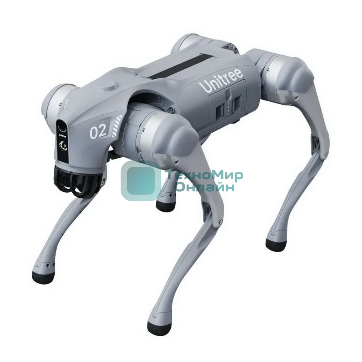 Бионический четырехопорный робот Unitree Go2 версии AIR