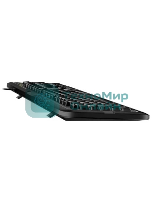 Клавиатура проводная Genius keyboard KB-118 II,RU,USB, черный