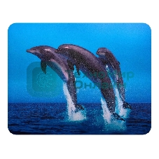 Коврик для мыши Buro BU-M40083 пластиковый дельфины 230х180х2мм