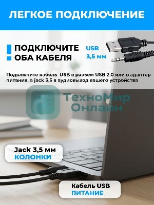 Портативная колонка Ritmix SP-3050