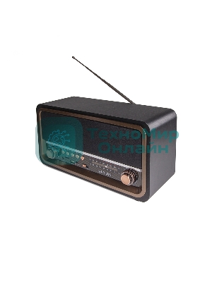 Радиоприемник портативный Сигнал БЗРП РП-336 черный/коричневый USB microSD