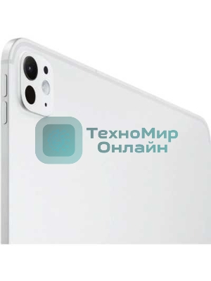 Планшет Apple iPad Pro 13