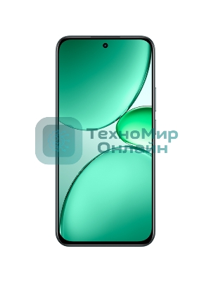 Смартфон Realme C85 Pro RMX5555 8/256Gb, темно-зеленый