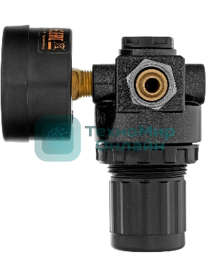 Регулятор давления с манометром Denzel R1500, 12 бар, 1/4