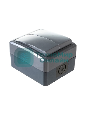 Выключатель двойной ЭРА IP54, 10АХ-250В, 11-1404-03, ОУ, Эксперт, серый (16/160/2560)