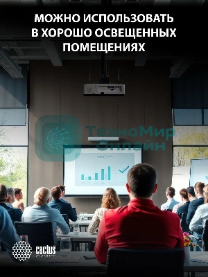 Проектор Cactus CS-S2.WT 3LCD 40000Lm LS 4000Lm ANSI (1024x768) 15000:1 ресурс лампы:10000часов 1xUSB typeA 2xHDMI 4.7кг