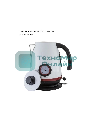 Чайник электрический Pioneer KE570M