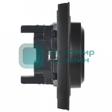 Розетка 2-местная IEK BRITE РС12-3-БрЧ с заземлением, без защитных шторок, 16А в сборе, черный