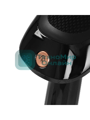 Отпариватель BQ SG1006H черный/золотистый, 1700 Вт, 25 г/мин, 280 мл