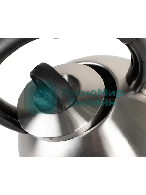 Чайник металлический Rondell 0237-RD-01, 2.4 л, стальной