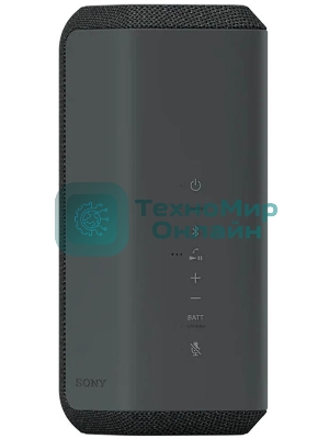 Беспроводная колонка Sony SRS-XE300, черный
