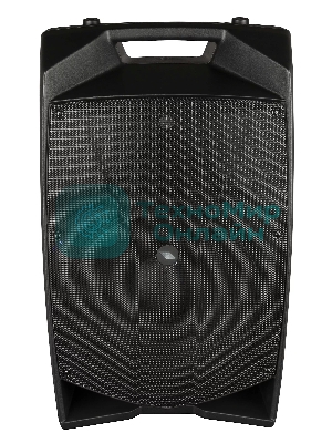Активная акустическая система PROEL V15PRO 2-х полосная, НЧ динамик 15