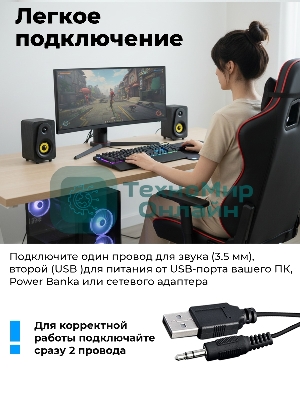 Портативная колонка Ritmix SP-3040W