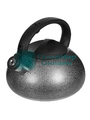 Чайник для плиты ALPENKOK AK-537 3 л