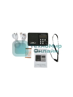 Радиоприемник PERFEO (PF_D0564) Sound, черный