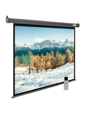 Экран для проектора Cactus SIlverMotoExpert CS-PSSME-300X188-DG, 139 