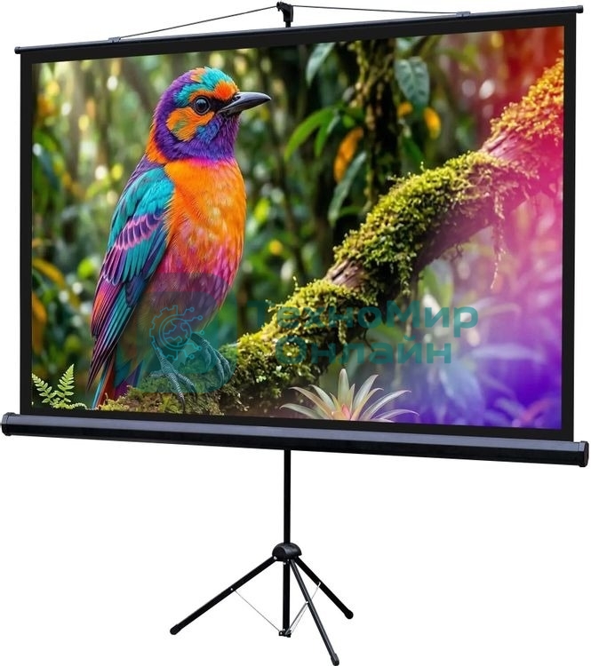 Экран на штативе Lumien Eco View 130x227см (раб.область124х221 см) (100