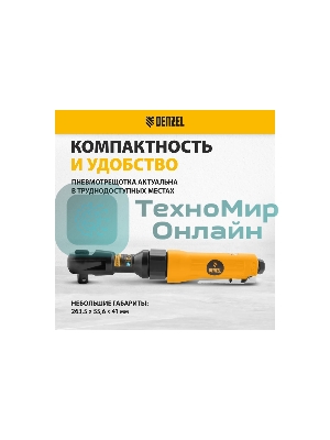 Усиленная пневмотрещотка Denzel RP100, 1/2