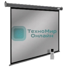 Экран для проектора Cactus SIlverMotoExpert CS-PSSME-300X188-DG, 139 
