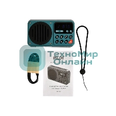 Радиоприемник PERFEO (PF_D0575) PILOT , серый