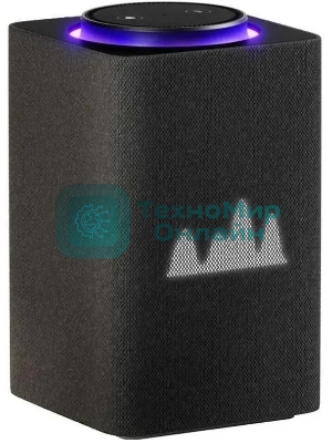 Умная колонка Яндекс Станция Макс, 65Вт, с экраном, 1 динамик, часы, Алиса, Wi-Fi, Bluetooth 5.0, Zigbee, графит